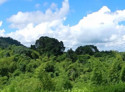ANDAHUAYLAS CASAS CAMPESTRES CON RESERVA NATURAL PRIVADA